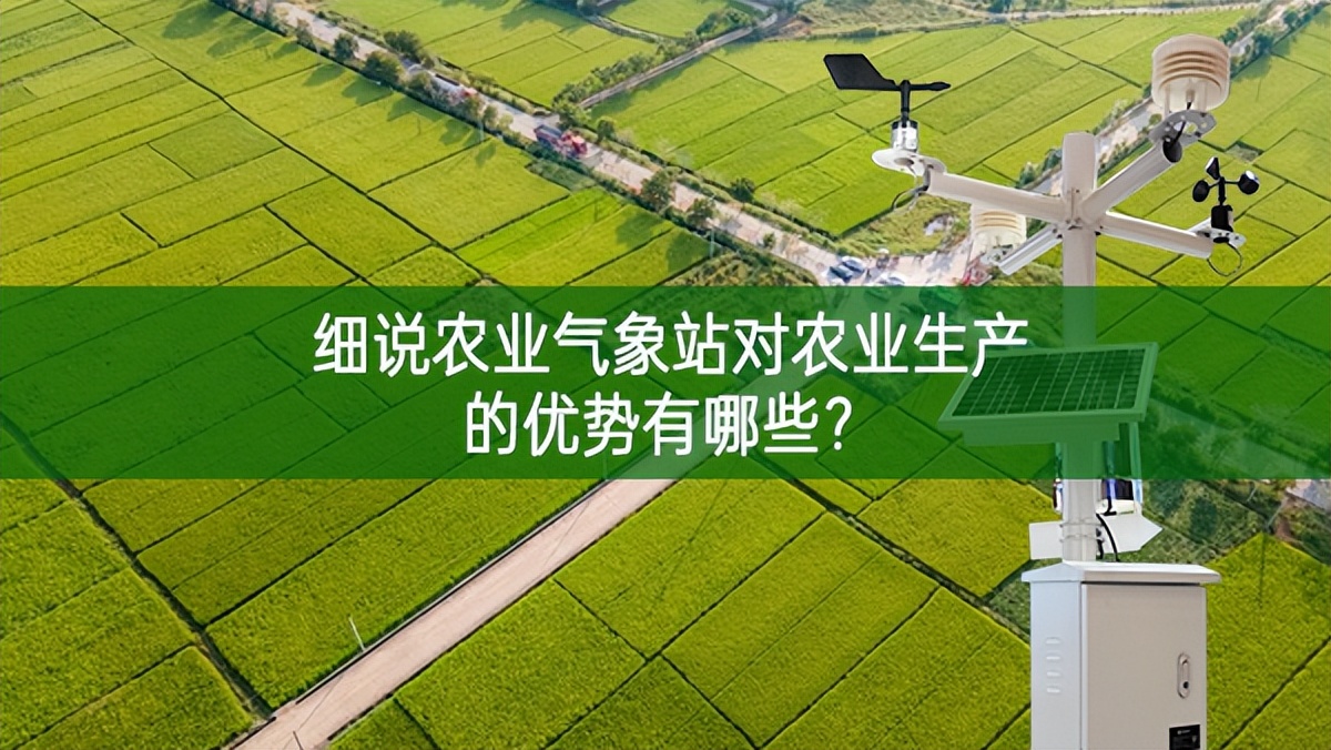 细说农业气象站对农业生产的优势有哪些?