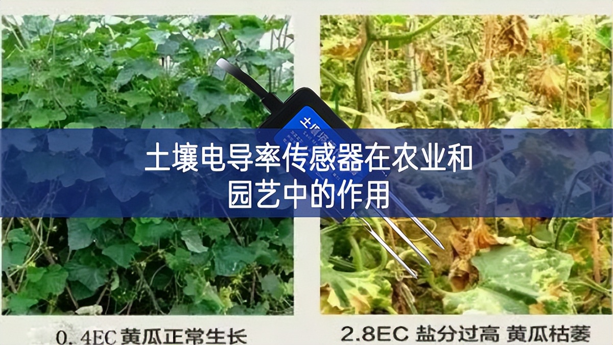 土壤电导率传感器在农业和园艺中的作用