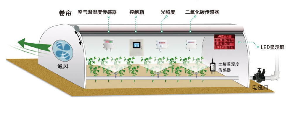 温湿度传感器在智能温室大棚