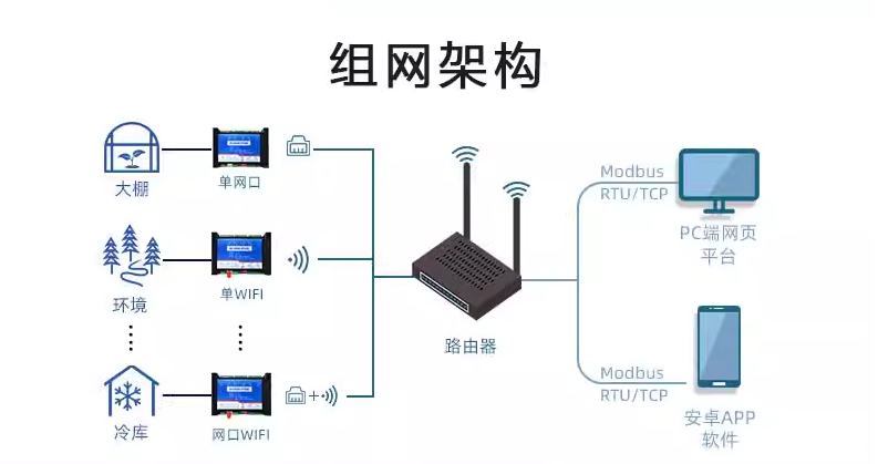 组网架构