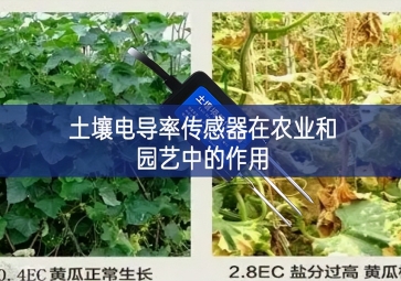 土壤电导率传感器在农业和园艺中的作用