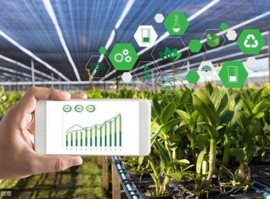 Remote measurement and control of greenhouse environment with wireless data transmission DTU
